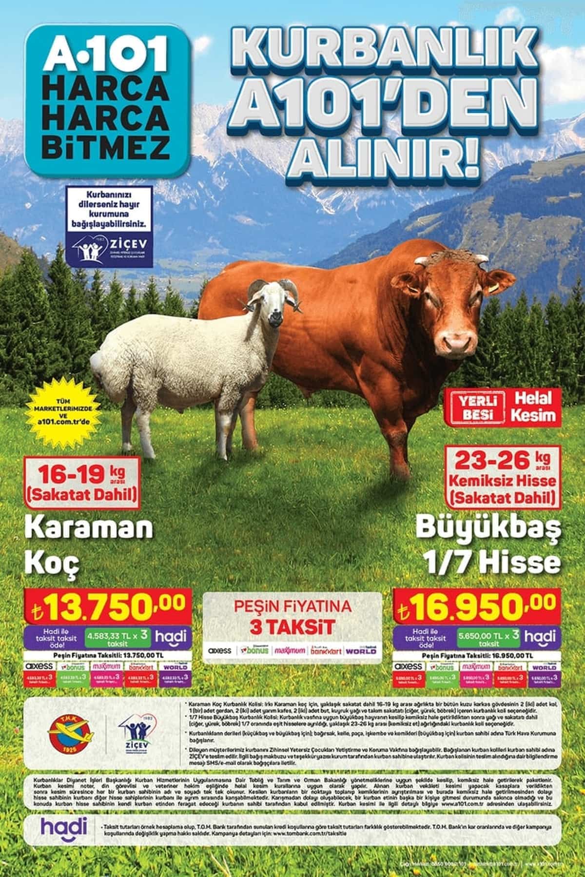 a101 buyuk bas kurbanlik fiyatlari 2024