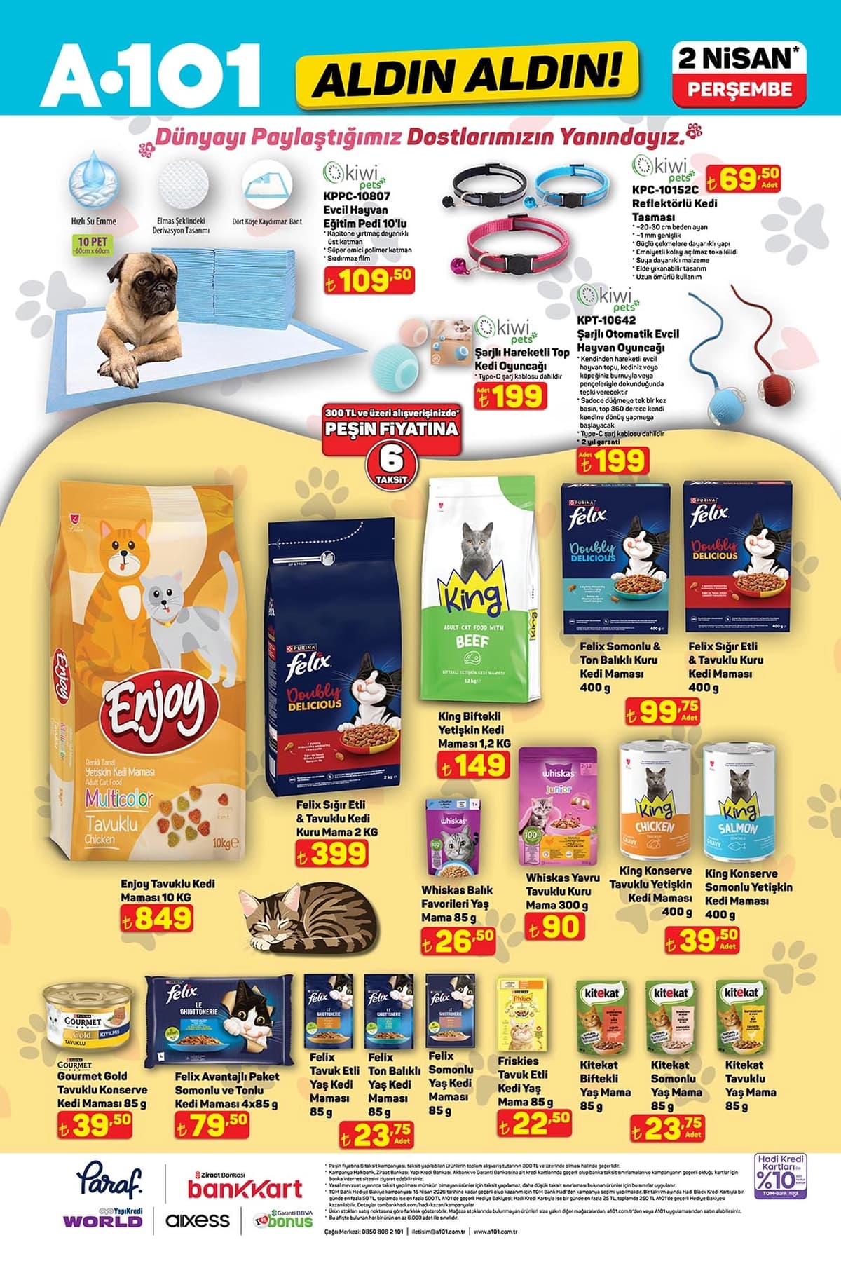 a101-kubanlik-hisse-fiyatlari