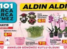 a101 7 mayıs 2020 anneler günü