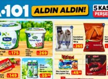 A101 5 kasim 2026 sayfa-8